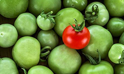 米線加盟行業深似海，如何在眾多米線品牌中脫穎而出？